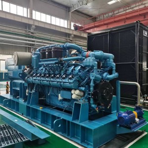 Baudouin Gas generator set