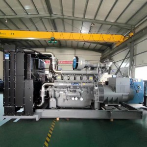 Biodiesel -Genset