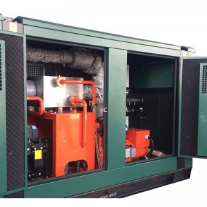 Biodiesel Genset