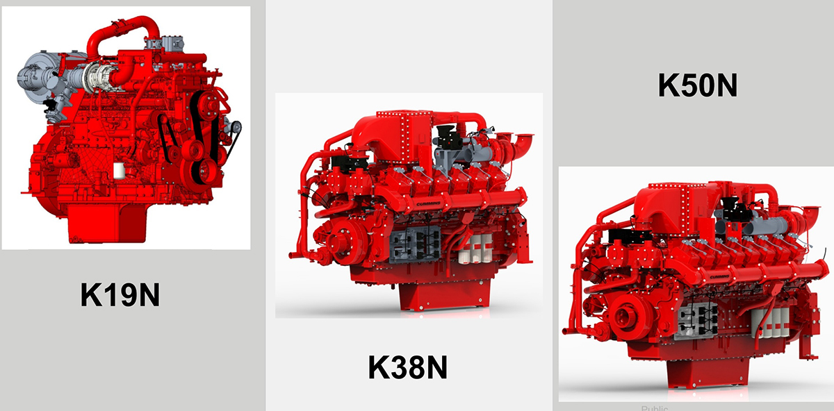 Cummins Gas Generator Set (3)